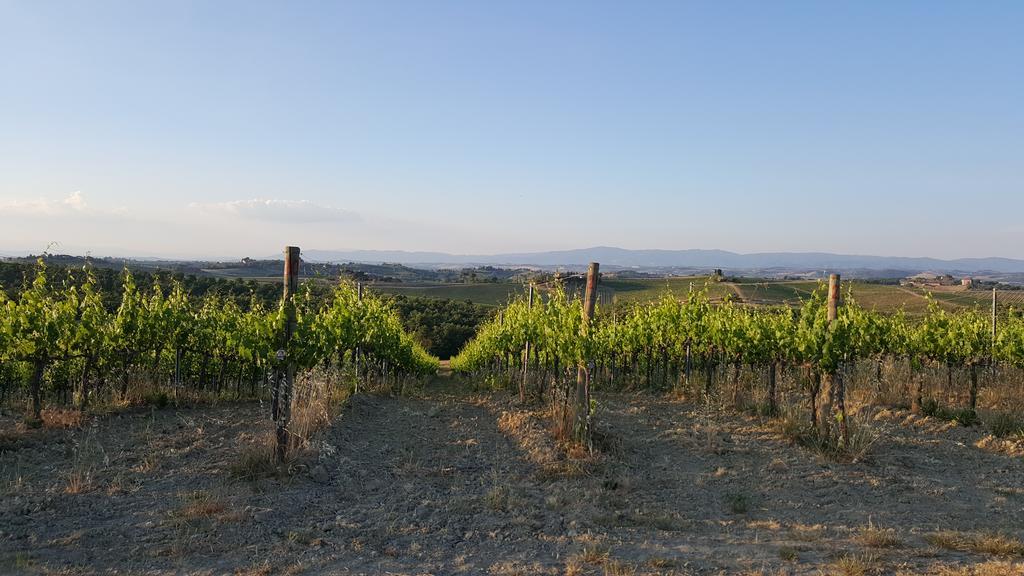 Agriturismo Podere Casa Al Vento Montepulciano Stazione Exterior foto